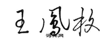 骆恒光王凤枚草书个性签名怎么写