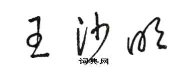 骆恒光王沙明草书个性签名怎么写