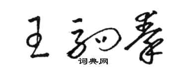 骆恒光王驹秦草书个性签名怎么写