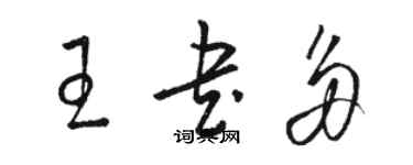 骆恒光王书多草书个性签名怎么写