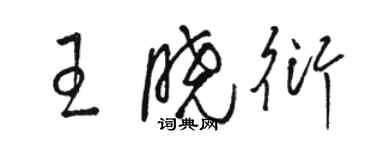 骆恒光王晓衍草书个性签名怎么写