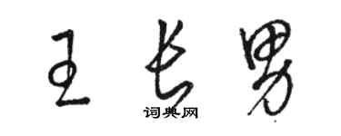 骆恒光王长男草书个性签名怎么写