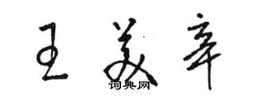 骆恒光王美辛草书个性签名怎么写