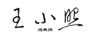 骆恒光王小照草书个性签名怎么写