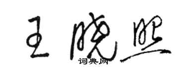 骆恒光王晓照草书个性签名怎么写