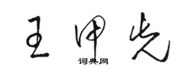 骆恒光王甲先草书个性签名怎么写