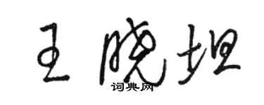 骆恒光王晓坦草书个性签名怎么写