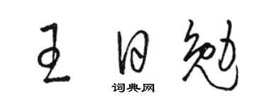 骆恒光王日勉草书个性签名怎么写