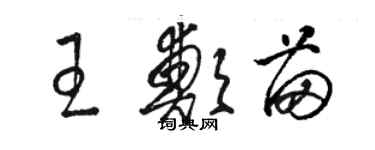 骆恒光王郑苗草书个性签名怎么写