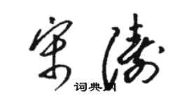 骆恒光宋涛草书个性签名怎么写