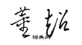 骆恒光董超草书个性签名怎么写