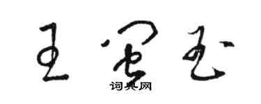 骆恒光王闽玉草书个性签名怎么写