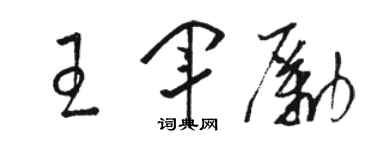 骆恒光王军励草书个性签名怎么写