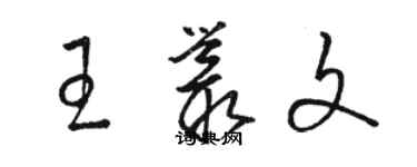 骆恒光王丛文草书个性签名怎么写