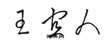 骆恒光王宜人草书个性签名怎么写