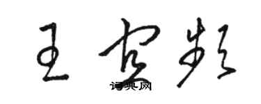 骆恒光王宜频草书个性签名怎么写