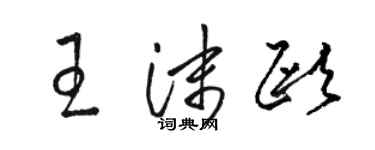 骆恒光王沫欧草书个性签名怎么写
