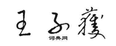 骆恒光王子获草书个性签名怎么写
