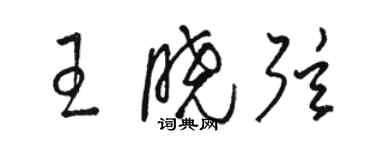 骆恒光王晓弦草书个性签名怎么写