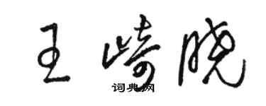 骆恒光王崎晓草书个性签名怎么写