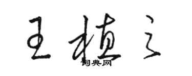 骆恒光王植之草书个性签名怎么写