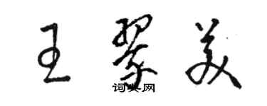 骆恒光王翠美草书个性签名怎么写