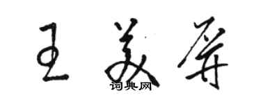骆恒光王美屏草书个性签名怎么写