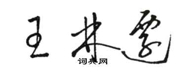 骆恒光王林迁草书个性签名怎么写