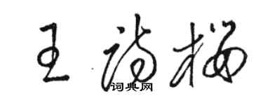 骆恒光王诗樱草书个性签名怎么写