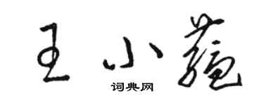 骆恒光王小蕴草书个性签名怎么写