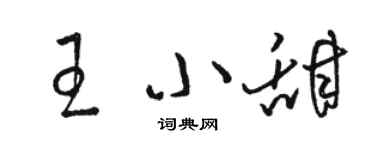 骆恒光王小甜草书个性签名怎么写