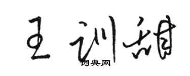 骆恒光王训甜草书个性签名怎么写