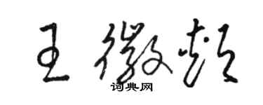 骆恒光王徽颊草书个性签名怎么写