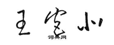 骆恒光王宫北草书个性签名怎么写