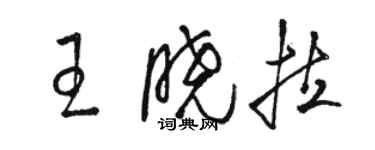 骆恒光王晓拉草书个性签名怎么写