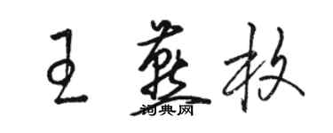 骆恒光王燕枚草书个性签名怎么写
