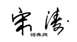朱锡荣宋涛草书个性签名怎么写