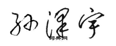 骆恒光孙泽宇草书个性签名怎么写
