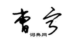 朱锡荣曹宁草书个性签名怎么写