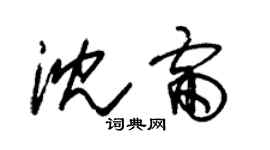 朱锡荣沈雷草书个性签名怎么写
