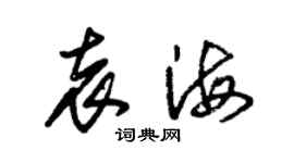 朱锡荣袁海草书个性签名怎么写