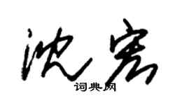 朱锡荣沈宏草书个性签名怎么写