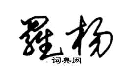 朱锡荣罗杨草书个性签名怎么写