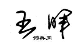 朱锡荣王晖草书个性签名怎么写