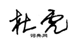 朱锡荣杜虎草书个性签名怎么写