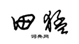 朱锡荣田猛草书个性签名怎么写