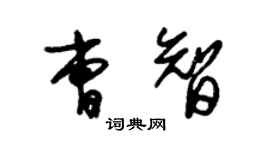 朱锡荣曹智草书个性签名怎么写