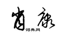 朱锡荣肖康草书个性签名怎么写