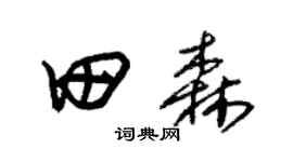 朱锡荣田森草书个性签名怎么写