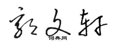 骆恒光郭文轩草书个性签名怎么写